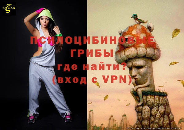 МДПВ Навашино