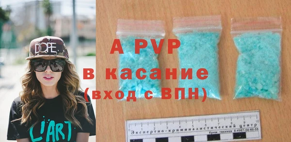 apvp Вяземский